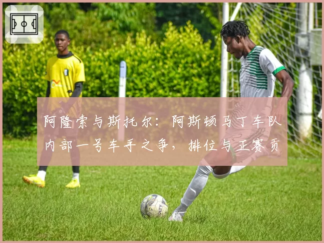 阿隆索与斯托尔：阿斯顿马丁车队内部一号车手之争，排位与正赛贡献值解析