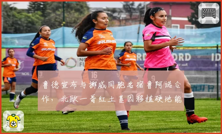 鲁德宣布与挪威同胞名宿鲁阿诺合作，北欧一哥红土基因移植硬地能否突破八强魔咒？