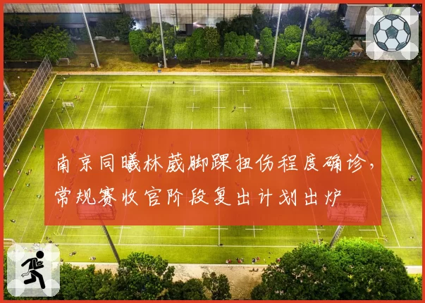南京同曦林葳脚踝扭伤程度确诊，常规赛收官阶段复出计划出炉