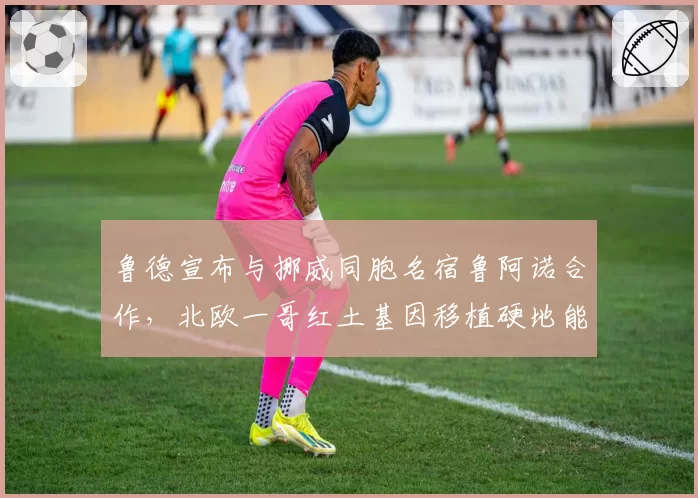 鲁德宣布与挪威同胞名宿鲁阿诺合作，北欧一哥红土基因移植硬地能否突破八强魔咒？