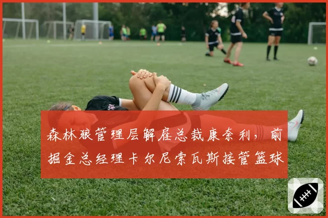 森林狼管理层解雇总裁康奈利，前掘金总经理卡尔尼索瓦斯接管篮球运营