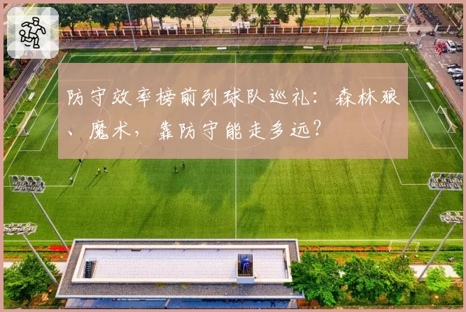 防守效率榜前列球队巡礼：森林狼、魔术，靠防守能走多远？