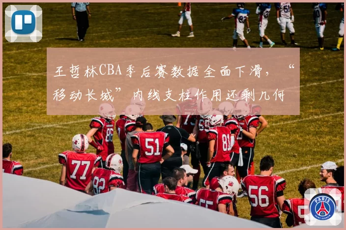 王哲林CBA季后赛数据全面下滑,“移动长城”内线支柱作用还剩几何?