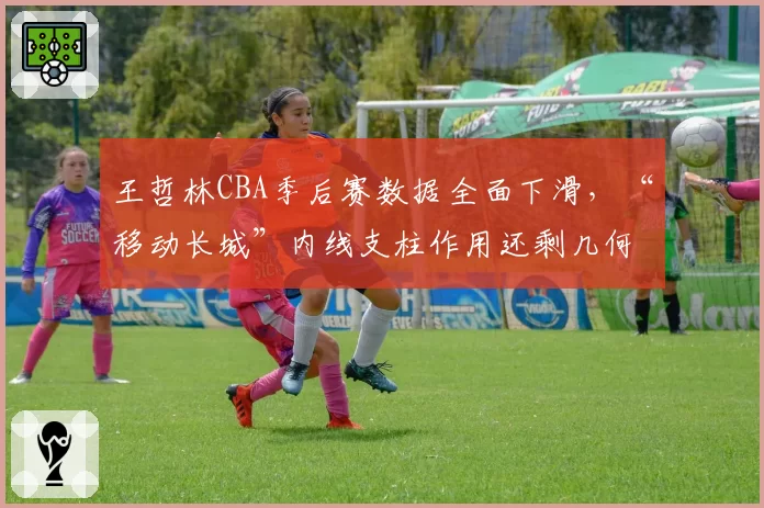 王哲林CBA季后赛数据全面下滑，“移动长城”内线支柱作用还剩几何？